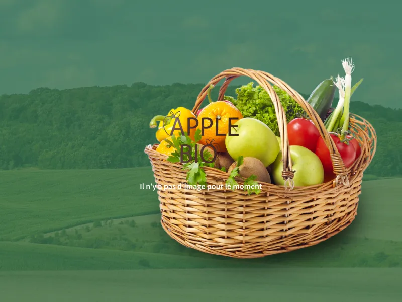 Ouverture 1er Novembre