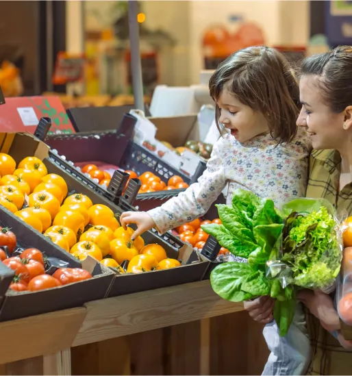 épicerie fine bio à Ermont dans le Val d'Oise 95